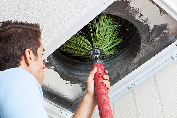 Air Duct Mold Removal in OH